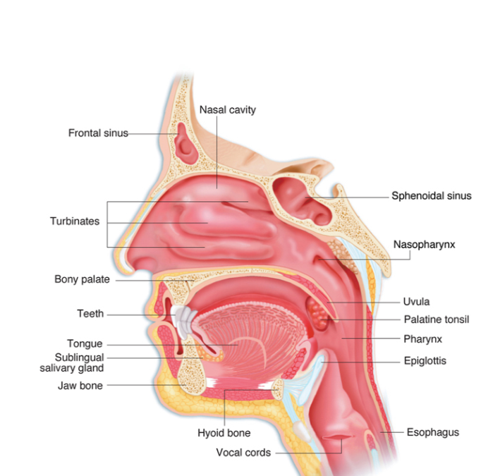 Gangguan Bicara Anak: Kapan Perlu Speech Therapy